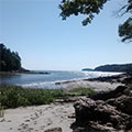 Totman Cove, West Point, Maine - Andrea Brand Photo