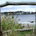 View, Phippsburg, Maine - Andrea Brand Photo