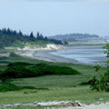 Small Point, Maine - Andrea Brand Photo