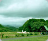Carrillo Airport