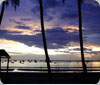 Beautiful Sunset