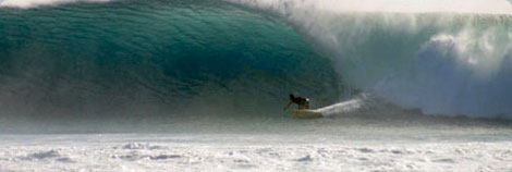 Surfer