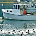 F/V Persistence, Sebasco Harbor - Andrea Brand Photo